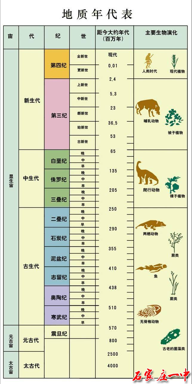 地質(zhì)年代和生物發(fā)展的歷史